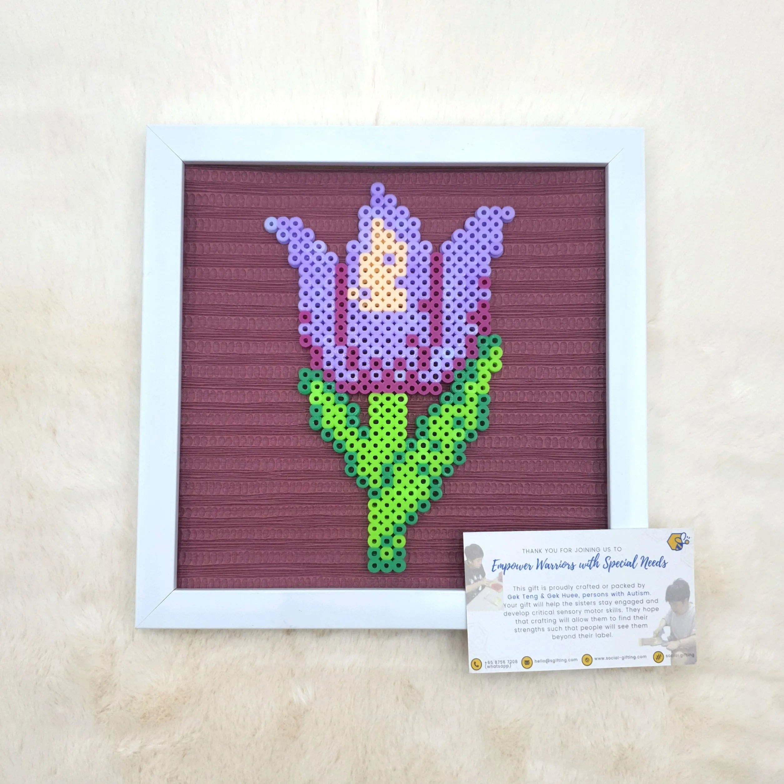 Assorted Hama Beads with Wooden Frame (20 x 20cm)