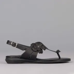 Flower Thong Sandal in Black - 12621